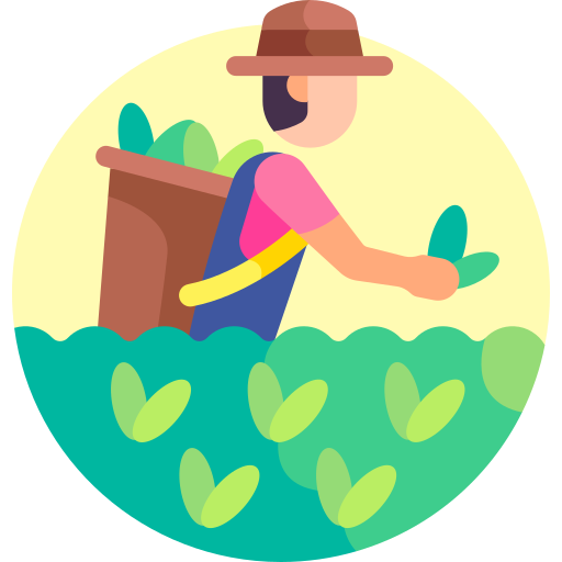 Irrigation Icon